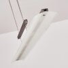 Hogana Pendant Light LED stainless steel, 5-light sources