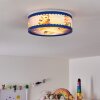 ERIE Ceiling Light blue, colourful, 2-light sources