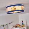 ERIE Ceiling Light blue, colourful, 2-light sources