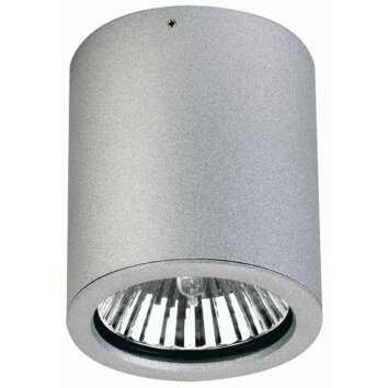 Albert 2130 ceiling light silver, 1-light source