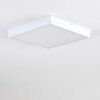 Broglen Ceiling Light LED white, 1-light source
