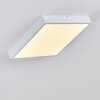 Broglen Ceiling Light LED white, 1-light source