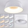 FREMONT Ceiling Light LED white, 1-light source, Remote control
