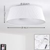 FREMONT Ceiling Light LED white, 1-light source, Remote control