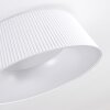 FREMONT Ceiling Light LED white, 1-light source, Remote control