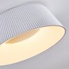 FREMONT Ceiling Light LED white, 1-light source, Remote control