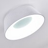 FREMONT Ceiling Light LED white, 1-light source, Remote control