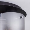 WICHITA Ceiling Light smoke coloured, black, 3-light sources