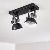 Gudo Ceiling Light black, silver, 2-light sources