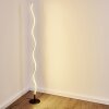 Dillon Floor Lamp LED black, 1-light source