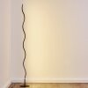 Dillon Floor Lamp LED black, 1-light source