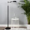 Steinhauer MEXLITE Floor Lamp LED black, 1-light source