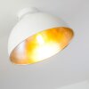 Saro Ceiling Light white, 1-light source