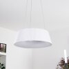 FREMONT Pendant Light LED white, 1-light source, Remote control