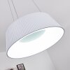 FREMONT Pendant Light LED white, 1-light source, Remote control