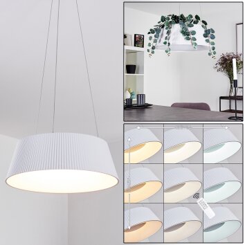 FREMONT Pendant Light LED white, 1-light source, Remote control