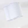 Betsie Ceiling Light white, 2-light sources