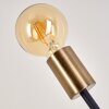 Duvin Table Lamp black-gold, 2-light sources