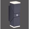Paul Neuhaus RYAN Outdoor Wall Light LED anthracite, 2-light sources