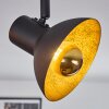 NEIDEN ceiling spotlight black-gold, 2-light sources