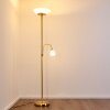 GISMARO Floor Lamp brass, 3-light sources