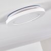 Siguna Ceiling Light LED white, 1-light source