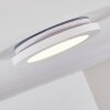 Siguna Ceiling Light LED white, 1-light source