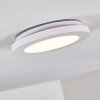 Siguna Ceiling Light LED white, 1-light source