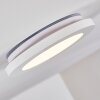 Siguna Ceiling Light LED white, 1-light source