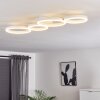 GRASSE Ceiling Light LED white, 1-light source