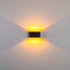 Dapp wall light gold, black, 1-light source
