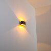 Dapp wall light gold, black, 1-light source
