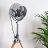 MAGALUF standing fan chrome, Light wood