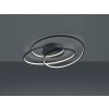 Trio GALE Ceiling Light LED black, 1-light source