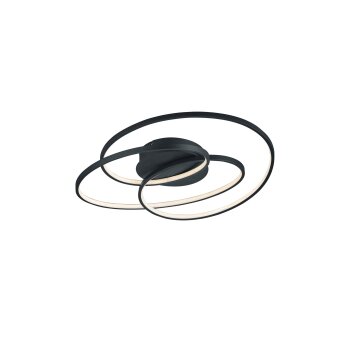 Trio GALE Ceiling Light LED black, 1-light source