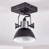 Gudo Ceiling Light black, silver, 1-light source