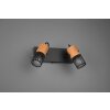 Trio TOSH Spotlight LED black, 2-light sources