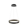 Pendant Light Paul Neuhaus Q-VITO LED anthracite, 1-light source, Remote control