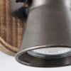 Spotlight Brilliant Seed Dark wood, black, 1-light source
