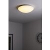 Globo KIRSTEN ceiling light LED white, 1-light source