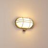 BELMOPAN Outdoor Wall Light stainless steel, 1-light source, Motion sensor