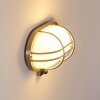 BELMOPAN Outdoor Wall Light stainless steel, 1-light source, Motion sensor