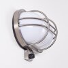 BELMOPAN Outdoor Wall Light stainless steel, 1-light source, Motion sensor