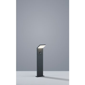 Trio PEARL pedestal light LED anthracite, 1-light source, Motion sensor