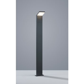 Trio PEARL pedestal light LED anthracite, 1-light source