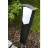 Trio SUEZ outdoor floor lamp LED black, 1-light source