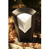 Trio SUEZ outdoor floor lamp LED black, 1-light source