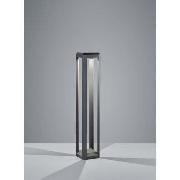 Trio LOGONE pedestal light LED anthracite, 1-light source