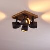 VANUATU Ceiling Light brown, black, 4-light sources