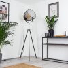 WESA Floor Lamp Aged nickel, 1-light source